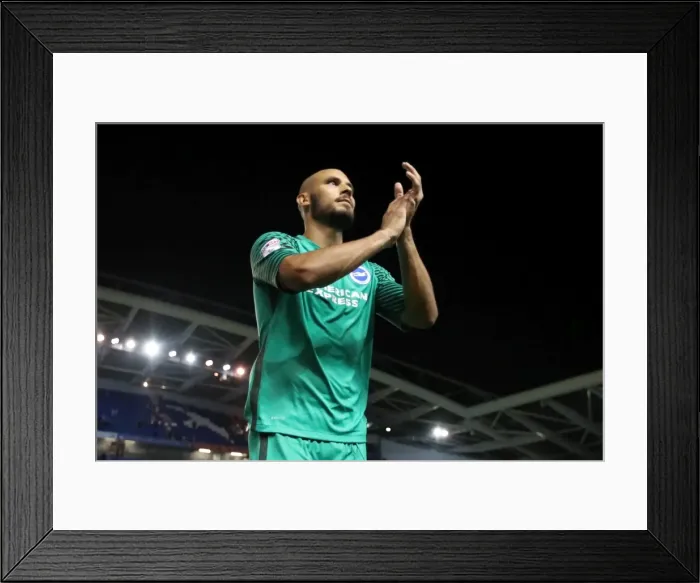 Framed Print : Brighton and Hove Albion vs Rotherham United: EFL Sky Bet Championship Showdown at American Express Community Stadium (August 16, 2016) Framed Print : Brighton and Hove Albion vs Rotherham United: EFL Sky Bet Championship Showdown at American Express Community Stadium (August 16, 2016)