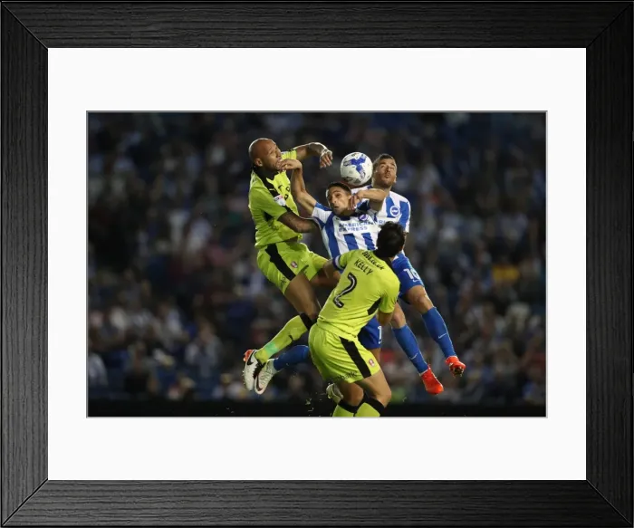 Framed Print : Brighton and Hove Albion vs Rotherham United: Clash in the EFL Sky Bet Championship (16th August 2016) Framed Print : Brighton and Hove Albion vs Rotherham United: Clash in the EFL Sky Bet Championship (16th August 2016)