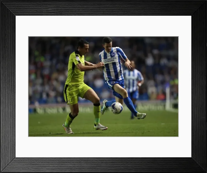 Framed Print : Brighton and Hove Albion vs Rotherham United: EFL Sky Bet Championship Showdown at American Express Community Stadium (August 16, 2016) Framed Print : Brighton and Hove Albion vs Rotherham United: EFL Sky Bet Championship Showdown at American Express Community Stadium (August 16, 2016)