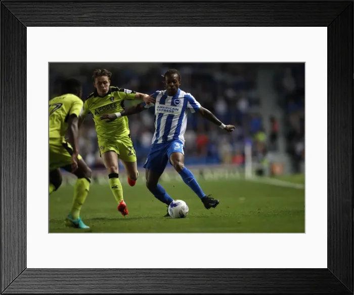 Framed Print : Brighton and Hove Albion vs Rotherham United: EFL Sky Bet Championship Showdown at American Express Community Stadium (August 16, 2016)