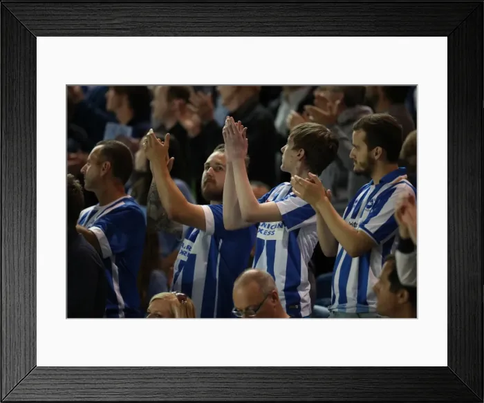 Framed Print : Brighton and Hove Albion vs Rotherham United: EFL Sky Bet Championship Showdown at American Express Community Stadium (August 16, 2016) Framed Print : Brighton and Hove Albion vs Rotherham United: EFL Sky Bet Championship Showdown at American Express Community Stadium (August 16, 2016)