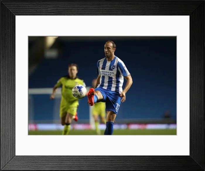 Framed Print : Brighton and Hove Albion vs Rotherham United: EFL Sky Bet Championship Showdown at American Express Community Stadium (August 16, 2016) Framed Print : Brighton and Hove Albion vs Rotherham United: EFL Sky Bet Championship Showdown at American Express Community Stadium (August 16, 2016)