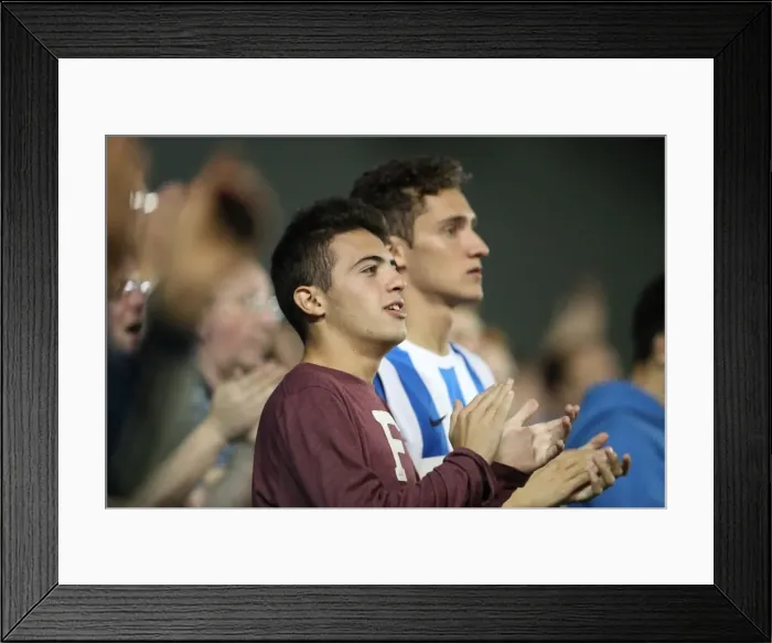 Framed Print : Brighton and Hove Albion vs Rotherham United: EFL Sky Bet Championship Showdown at American Express Community Stadium (August 16, 2016) Framed Print : Brighton and Hove Albion vs Rotherham United: EFL Sky Bet Championship Showdown at American Express Community Stadium (August 16, 2016)