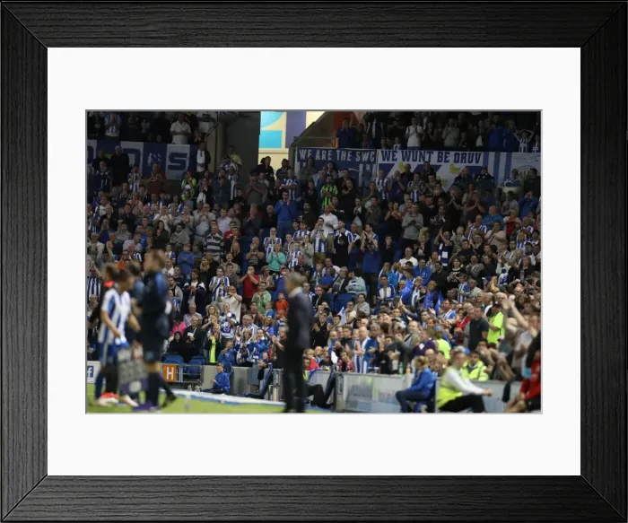 Framed Print : Brighton and Hove Albion vs Rotherham United: EFL Sky Bet Championship Showdown at American Express Community Stadium (August 16, 2016) Framed Print : Brighton and Hove Albion vs Rotherham United: EFL Sky Bet Championship Showdown at American Express Community Stadium (August 16, 2016)