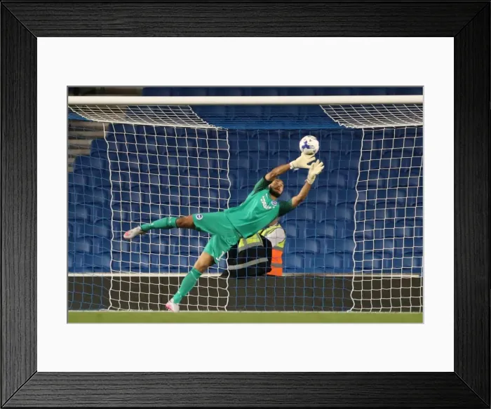 Framed Print : Brighton and Hove Albion vs Rotherham United: EFL Sky Bet Championship Showdown at American Express Community Stadium (August 16, 2016) Framed Print : Brighton and Hove Albion vs Rotherham United: EFL Sky Bet Championship Showdown at American Express Community Stadium (August 16, 2016)