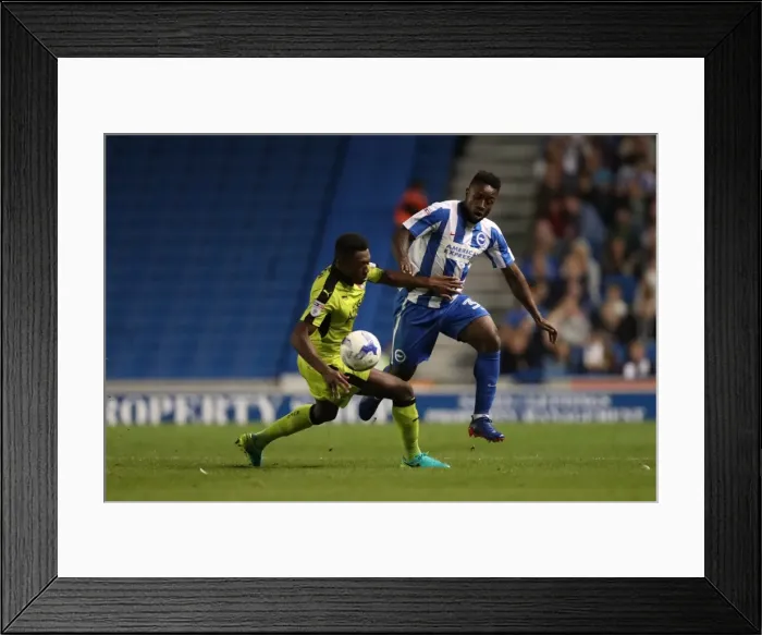 Framed Print : Brighton and Hove Albion vs Rotherham United: EFL Sky Bet Championship Showdown at American Express Community Stadium (August 16, 2016) Framed Print : Brighton and Hove Albion vs Rotherham United: EFL Sky Bet Championship Showdown at American Express Community Stadium (August 16, 2016)