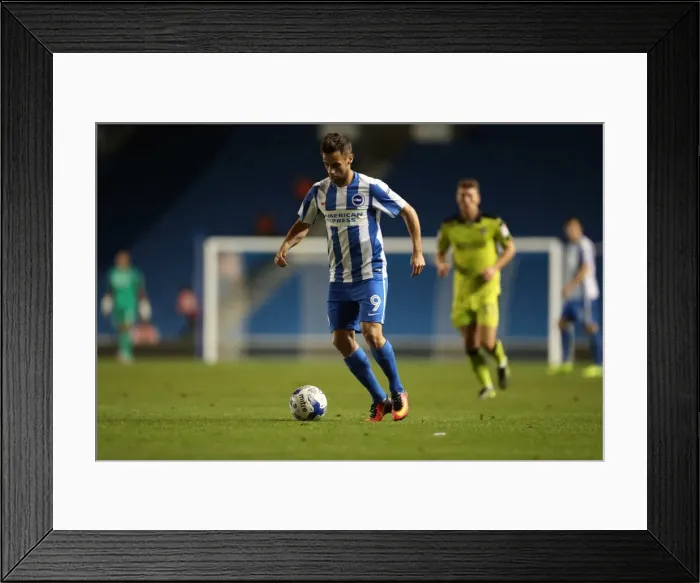 Framed Print : Brighton and Hove Albion vs Rotherham United: EFL Sky Bet Championship Showdown at American Express Community Stadium (August 16, 2016) Framed Print : Brighton and Hove Albion vs Rotherham United: EFL Sky Bet Championship Showdown at American Express Community Stadium (August 16, 2016)