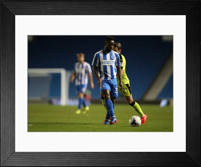 Framed Print : Brighton and Hove Albion vs Rotherham United: EFL Sky Bet Championship Showdown at American Express Community Stadium (August 16, 2016) Framed Print : Brighton and Hove Albion vs Rotherham United: EFL Sky Bet Championship Showdown at American Express Community Stadium (August 16, 2016)
