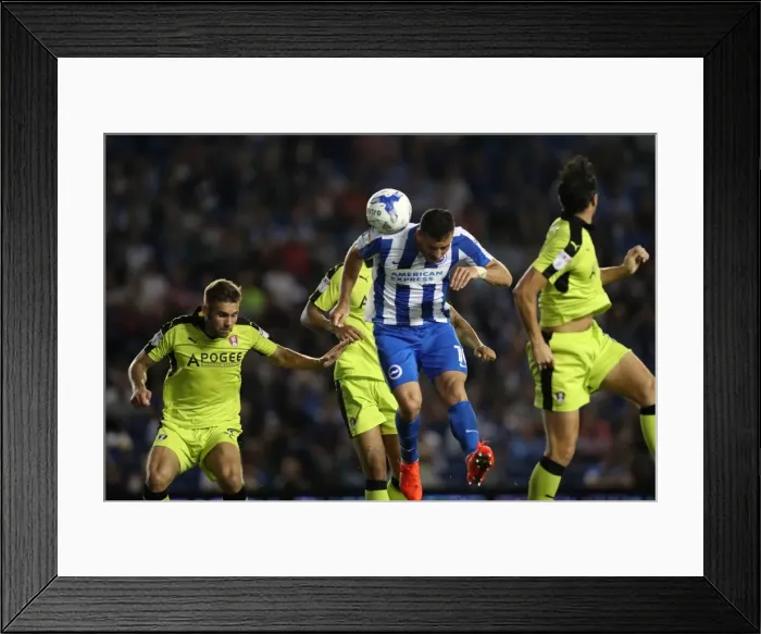 Framed Print : Brighton and Hove Albion vs Rotherham United: EFL Sky Bet Championship Clash at American Express Community Stadium (16th August 2016) Framed Print : Brighton and Hove Albion vs Rotherham United: EFL Sky Bet Championship Clash at American Express Community Stadium (16th August 2016)