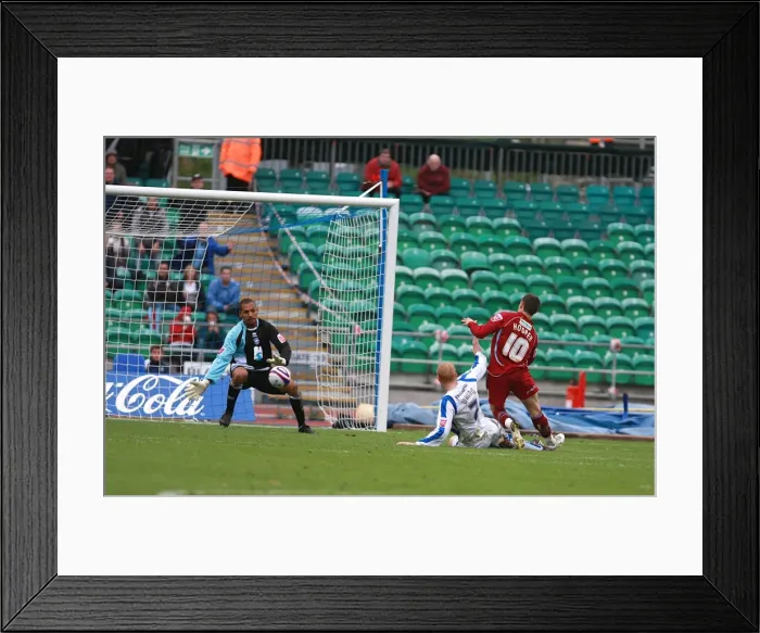 Framed Print : Brighton & Hove Albion vs. Scunthorpe United (2008-09): A Home Game