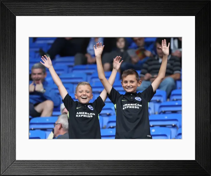 Framed Print : Brighton and Hove Albion Fans in Full Force at Reading's Madejski Stadium, Sky Bet Championship 2016 Framed Print : Brighton and Hove Albion Fans in Full Force at Reading's Madejski Stadium, Sky Bet Championship 2016