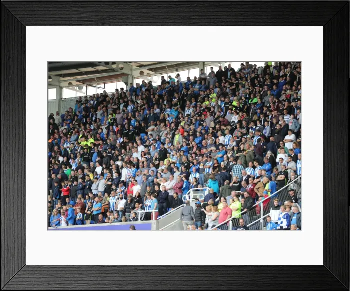 Framed Print : Brighton and Hove Albion Fans in Full Force at the 2016 Reading Championship Match Framed Print : Brighton and Hove Albion Fans in Full Force at the 2016 Reading Championship Match