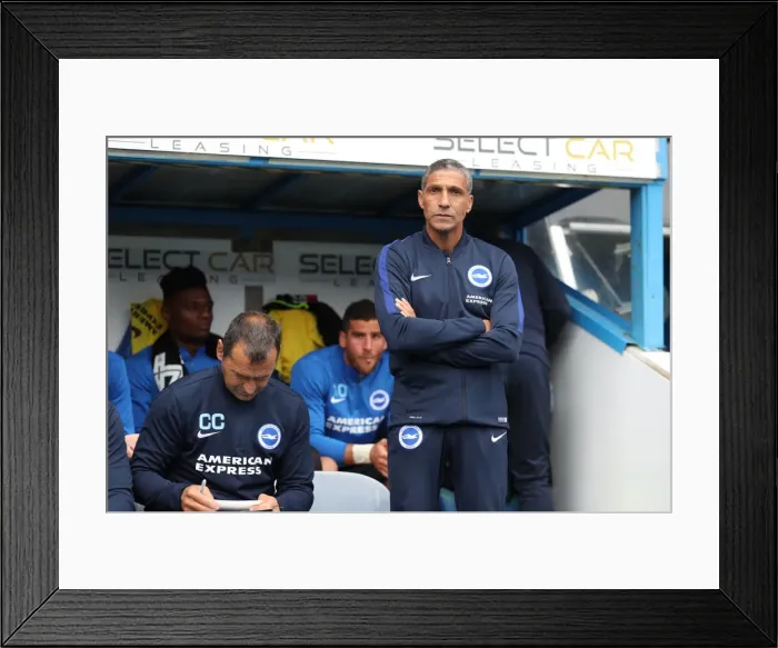 Framed Print : Brighton and Hove Albion vs. Reading: Sky Bet Championship Showdown at Madejski Stadium (2016.08.20) Framed Print : Brighton and Hove Albion vs. Reading: Sky Bet Championship Showdown at Madejski Stadium (2016.08.20)