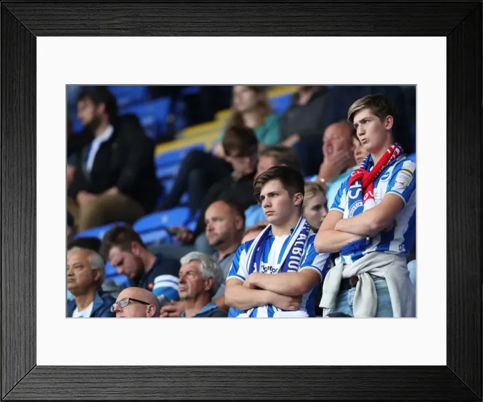 Framed Print : Brighton and Hove Albion Fans Passionate Display at Reading's Madejski Stadium, Sky Bet Championship 2016 Framed Print : Brighton and Hove Albion Fans Passionate Display at Reading's Madejski Stadium, Sky Bet Championship 2016