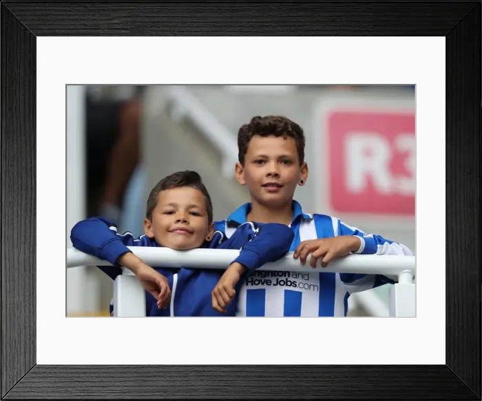 Framed Print : Brighton and Hove Albion Fans in Full Force: 2016 Championship Clash at Reading's Madejski Stadium Framed Print : Brighton and Hove Albion Fans in Full Force: 2016 Championship Clash at Reading's Madejski Stadium
