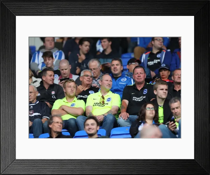 Framed Print : Brighton and Hove Albion Fans in High Spirits at Reading Championship Match, 2016 Framed Print : Brighton and Hove Albion Fans in High Spirits at Reading Championship Match, 2016