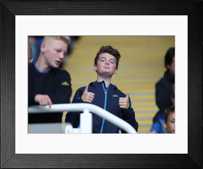 Framed Print : Brighton and Hove Albion Fans Passionate Support at Reading Championship Match, 2016