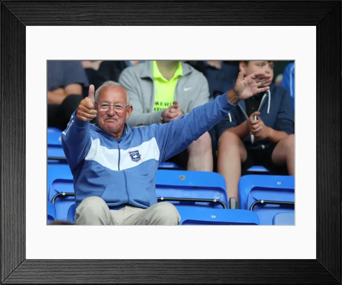 Framed Print : Brighton and Hove Albion Fans in Full Throat: Passionate Moment at the Reading Championship Match, 2016 Framed Print : Brighton and Hove Albion Fans in Full Throat: Passionate Moment at the Reading Championship Match, 2016