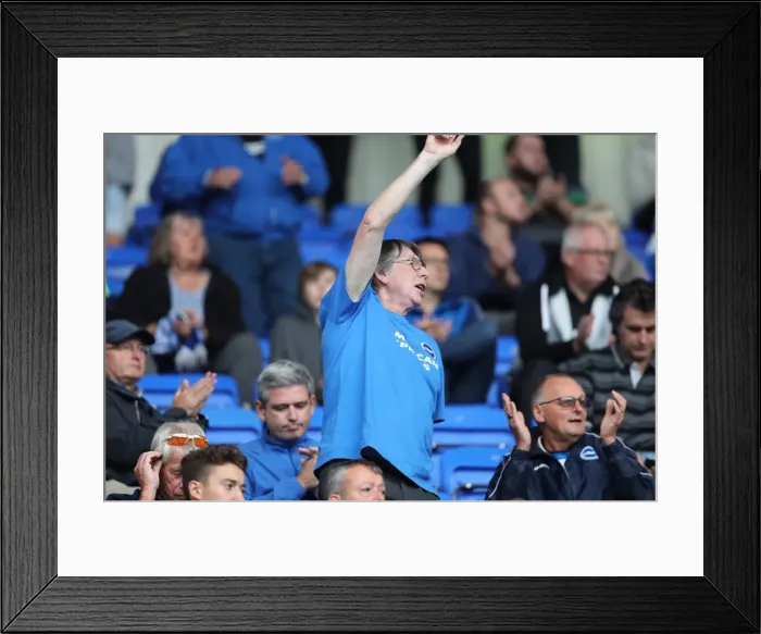Framed Print : Brighton and Hove Albion Fans in Full Force at Reading Championship Match, 2016 Framed Print : Brighton and Hove Albion Fans in Full Force at Reading Championship Match, 2016