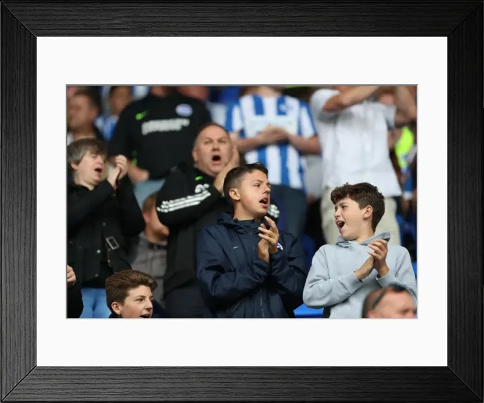 Framed Print : Brighton and Hove Albion Fans in Full Swing: Passion and Energy at the Reading Championship Match, 2016 Framed Print : Brighton and Hove Albion Fans in Full Swing: Passion and Energy at the Reading Championship Match, 2016