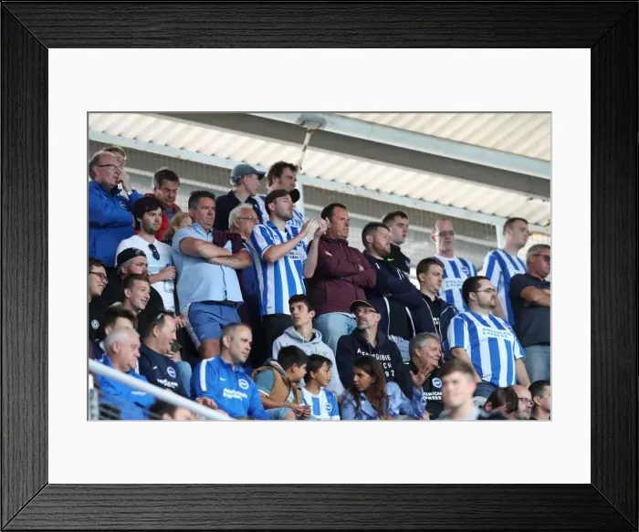Framed Print : Brighton and Hove Albion Fans in Full Swing at Reading's Madejski Stadium, Sky Bet Championship 2016 Framed Print : Brighton and Hove Albion Fans in Full Swing at Reading's Madejski Stadium, Sky Bet Championship 2016