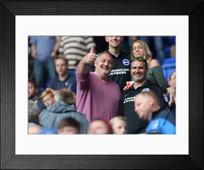 Framed Print : Brighton and Hove Albion Fans in Full Swing at the Reading Championship Match, 2016 Framed Print : Brighton and Hove Albion Fans in Full Swing at the Reading Championship Match, 2016