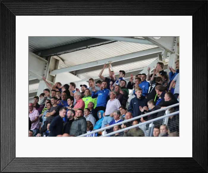 Framed Print : Brighton and Hove Albion Fans in Action at Reading's Madejski Stadium during Sky Bet Championship Match, 2016 Framed Print : Brighton and Hove Albion Fans in Action at Reading's Madejski Stadium during Sky Bet Championship Match, 2016