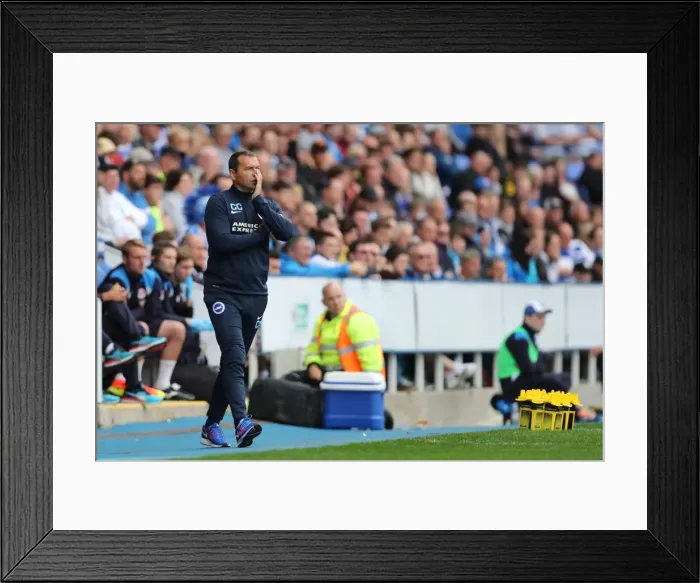 Framed Print : Brighton and Hove Albion vs. Reading: Sky Bet Championship Showdown at Madejski Stadium (August 20, 2016) Framed Print : Brighton and Hove Albion vs. Reading: Sky Bet Championship Showdown at Madejski Stadium (August 20, 2016)