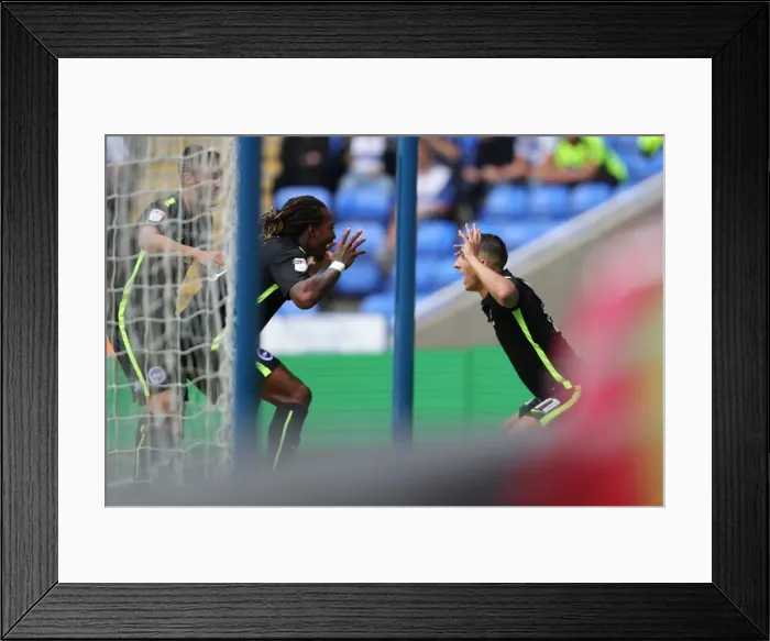 Framed Print : Exciting Sky Bet Championship Showdown: Brighton and Hove Albion vs. Reading (2016.08.20) Framed Print : Exciting Sky Bet Championship Showdown: Brighton and Hove Albion vs. Reading (2016.08.20)