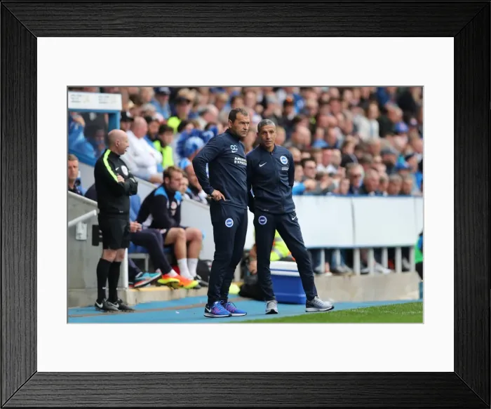 Framed Print : Brighton and Hove Albion vs. Reading: Sky Bet Championship Showdown at Madejski Stadium (2016.08.20) Framed Print : Brighton and Hove Albion vs. Reading: Sky Bet Championship Showdown at Madejski Stadium (2016.08.20)
