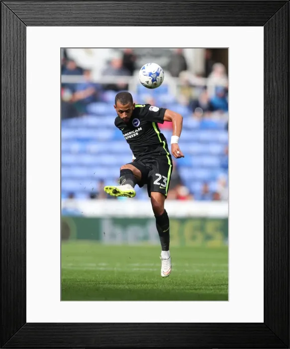 Framed Print : Brighton and Hove Albion vs. Reading: Sky Bet Championship Showdown at Madejski Stadium (August 20, 2016)