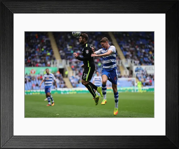 Framed Print : Brighton and Hove Albion vs. Reading: Sky Bet Championship Showdown at Madejski Stadium (2016.08.20)