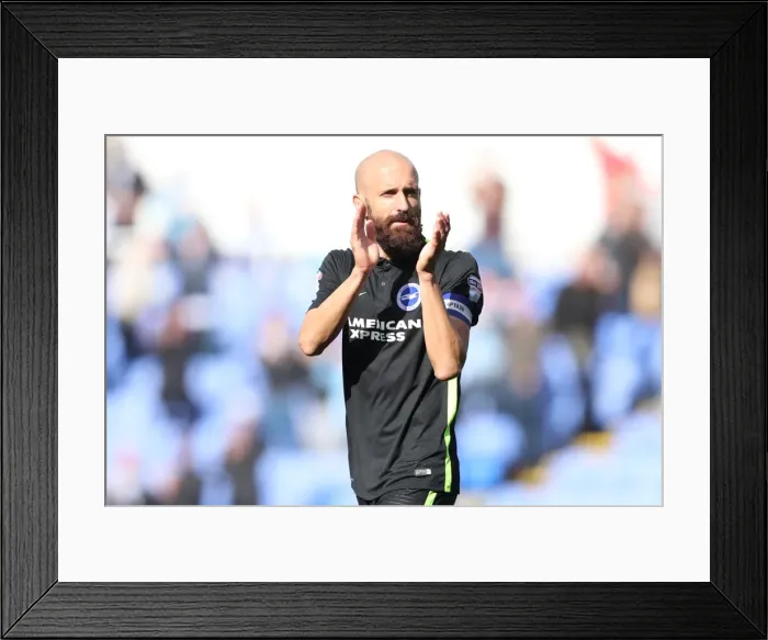Framed Print : Brighton and Hove Albion vs. Reading: Sky Bet Championship Showdown at Madejski Stadium (2016.08.20) Framed Print : Brighton and Hove Albion vs. Reading: Sky Bet Championship Showdown at Madejski Stadium (2016.08.20)