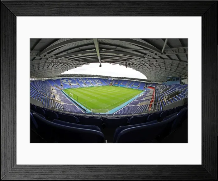 Framed Print : Brighton and Hove Albion at Reading's Madejski Stadium: EFL Sky Bet Championship Clash, 20th August 2016 Framed Print : Brighton and Hove Albion at Reading's Madejski Stadium: EFL Sky Bet Championship Clash, 20th August 2016