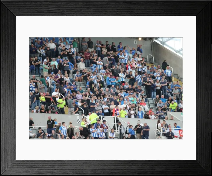 Framed Print : Newcastle United v Brighton and Hove Albion Sky Bet Championship 27 / 08 / 2016 Framed Print : Newcastle United v Brighton and Hove Albion Sky Bet Championship 27 / 08 / 2016