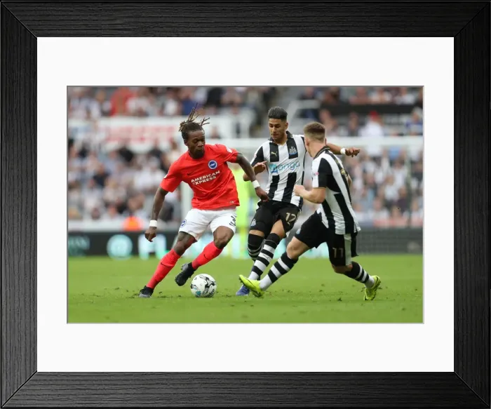 Framed Print : Sky Bet Championship Clash: Newcastle United vs. Brighton and Hove Albion at St. James Park (27 / 08 / 2016) Framed Print : Sky Bet Championship Clash: Newcastle United vs. Brighton and Hove Albion at St. James Park (27 / 08 / 2016)