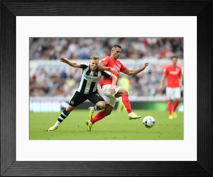 Framed Print : Sky Bet Championship Showdown: Newcastle United vs. Brighton & Hove Albion at St. James Park (27-08-2016) Framed Print : Sky Bet Championship Showdown: Newcastle United vs. Brighton & Hove Albion at St. James Park (27-08-2016)