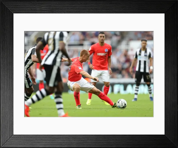 Framed Print : Sky Bet Championship Showdown: Newcastle United vs. Brighton and Hove Albion at St. James Park (27-08-2016) Framed Print : Sky Bet Championship Showdown: Newcastle United vs. Brighton and Hove Albion at St. James Park (27-08-2016)