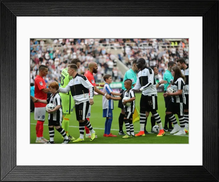 Framed Print : Sky Bet Championship Showdown: Newcastle United vs. Brighton and Hove Albion at St. James Park (27-08-2016)