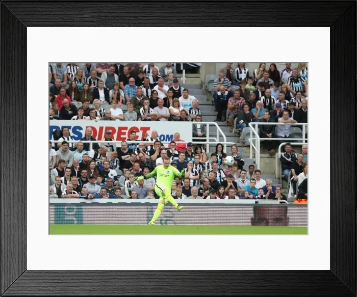 Framed Print : Sky Bet Championship Showdown: Newcastle United vs. Brighton and Hove Albion at St. James Park (27-08-2016) Framed Print : Sky Bet Championship Showdown: Newcastle United vs. Brighton and Hove Albion at St. James Park (27-08-2016)