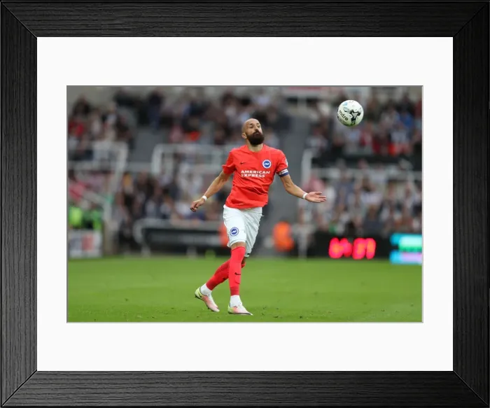 Framed Print : Sky Bet Championship Showdown: Newcastle United vs. Brighton and Hove Albion at St. James Park (27 / 08 / 2016) Framed Print : Sky Bet Championship Showdown: Newcastle United vs. Brighton and Hove Albion at St. James Park (27 / 08 / 2016)