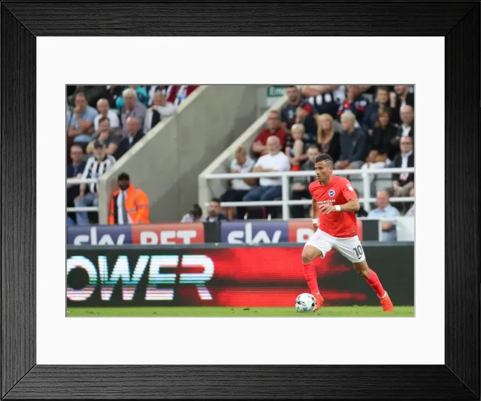 Framed Print : Sky Bet Championship Showdown: Newcastle United vs. Brighton and Hove Albion at St. James Park (27-08-2016) Framed Print : Sky Bet Championship Showdown: Newcastle United vs. Brighton and Hove Albion at St. James Park (27-08-2016)