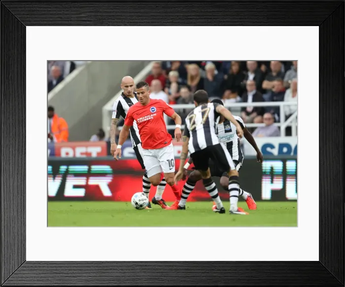 Framed Print : Sky Bet Championship Showdown: Newcastle United vs. Brighton & Hove Albion at St. James Park (27-08-2016) Framed Print : Sky Bet Championship Showdown: Newcastle United vs. Brighton & Hove Albion at St. James Park (27-08-2016)