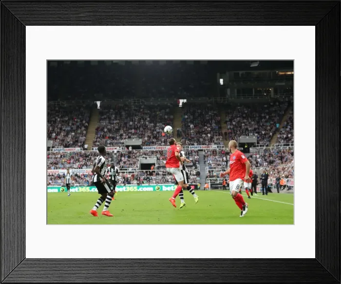 Framed Print : Sky Bet Championship Showdown: Newcastle United vs. Brighton and Hove Albion at St. James Park (27-08-2016) Framed Print : Sky Bet Championship Showdown: Newcastle United vs. Brighton and Hove Albion at St. James Park (27-08-2016)