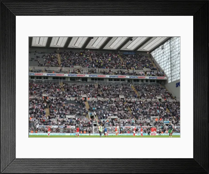 Framed Print : Sky Bet Championship Showdown: Newcastle United vs. Brighton and Hove Albion at St. James Park (27 / 08 / 2016) Framed Print : Sky Bet Championship Showdown: Newcastle United vs. Brighton and Hove Albion at St. James Park (27 / 08 / 2016)