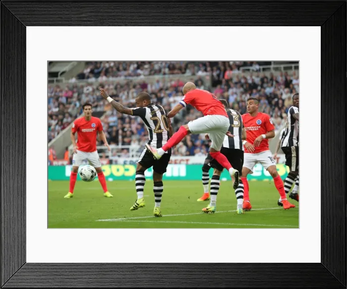 Framed Print : Sky Bet Championship Showdown: Newcastle United vs. Brighton and Hove Albion at St. James Park (27-08-2016) Framed Print : Sky Bet Championship Showdown: Newcastle United vs. Brighton and Hove Albion at St. James Park (27-08-2016)