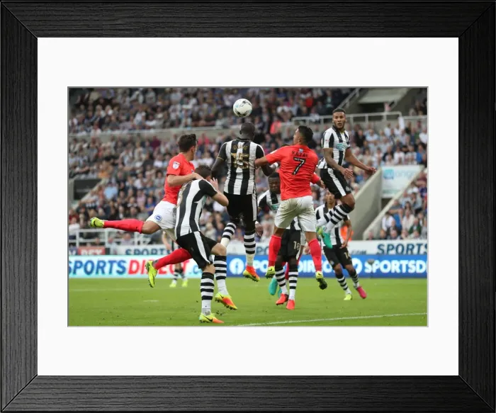 Framed Print : Sky Bet Championship Showdown: Newcastle United vs. Brighton and Hove Albion at St. James Park (27 / 08 / 2016) Framed Print : Sky Bet Championship Showdown: Newcastle United vs. Brighton and Hove Albion at St. James Park (27 / 08 / 2016)