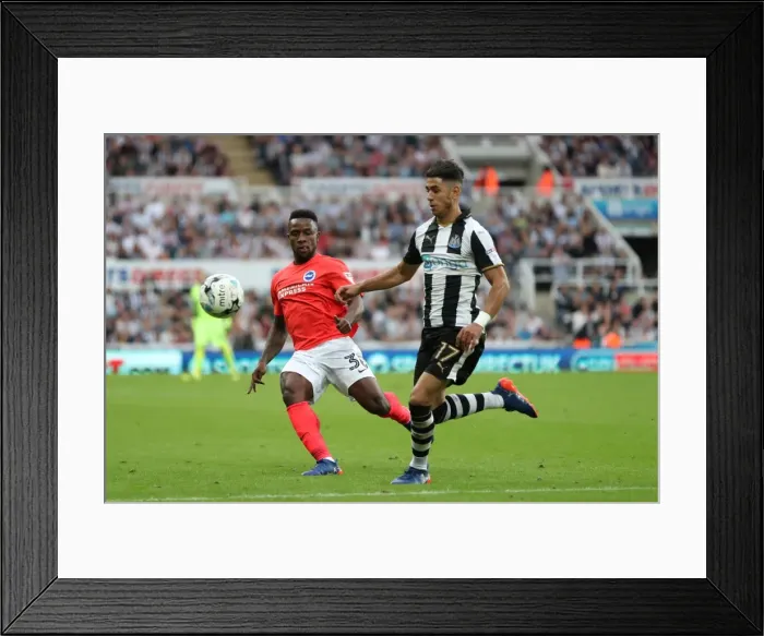 Framed Print : Championship Showdown: Newcastle United vs. Brighton and Hove Albion at St. James Park (27-08-2016) Framed Print : Championship Showdown: Newcastle United vs. Brighton and Hove Albion at St. James Park (27-08-2016)