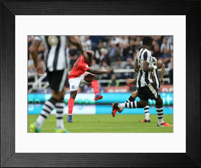 Framed Print : Sky Bet Championship Showdown: Newcastle United vs. Brighton and Hove Albion at St. James Park (27 / 08 / 2016) Framed Print : Sky Bet Championship Showdown: Newcastle United vs. Brighton and Hove Albion at St. James Park (27 / 08 / 2016)