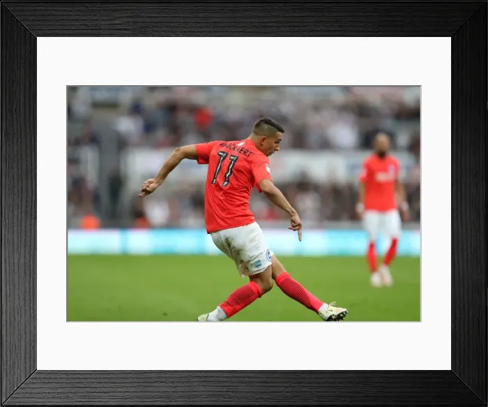 Framed Print : Sky Bet Championship Showdown: Newcastle United vs. Brighton and Hove Albion at St. James Park (27-08-2016) Framed Print : Sky Bet Championship Showdown: Newcastle United vs. Brighton and Hove Albion at St. James Park (27-08-2016)